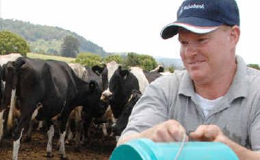 Tuncester farmer Paul Weir says discount prices will hurt milk producers. Tuncester farmer Paul Weir says discount prices will hurt milk producers.